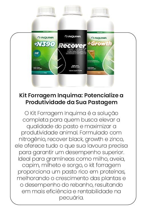 Produto 10