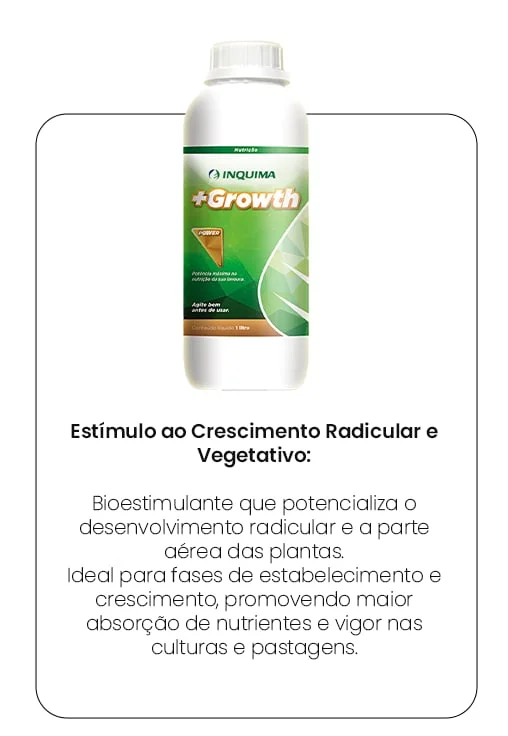 Produto 2